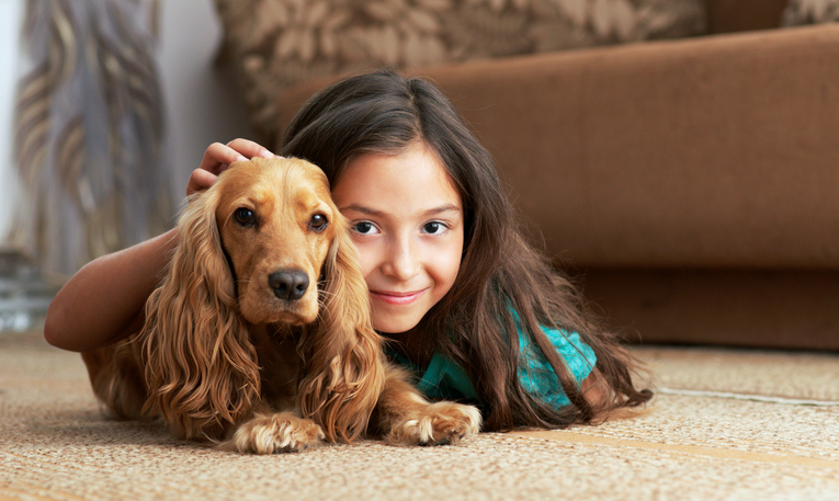 child and dog on clean carpet