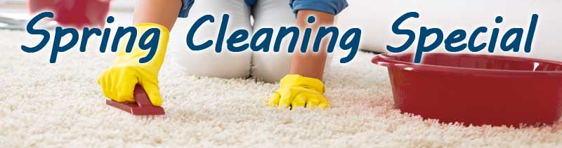 Spring special carpet cleaning